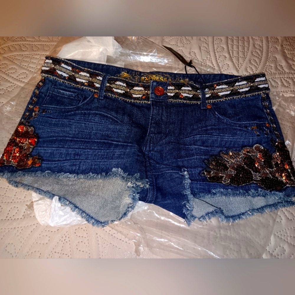 Embroidered RUNWAY EXPRESS SHORTS Sexy